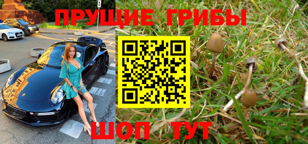 как найти наркотики  Галлюциногенные грибы GOLDEN TEACHER  Вход с VPN  Семёнов 